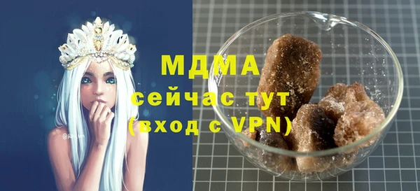 молекула духа Галич