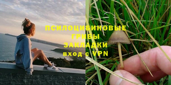 марки lsd Абаза