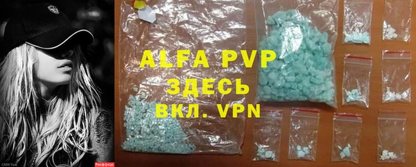 apvp Гатчина