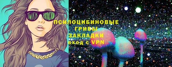 прущие грибы Алексин