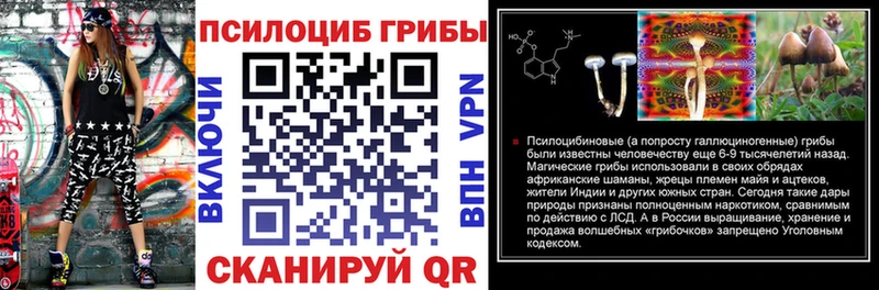 где купить наркоту  omg ссылки  Псилоцибиновые грибы Psilocybe  Духовщина 